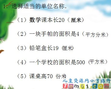 面积和面积单位