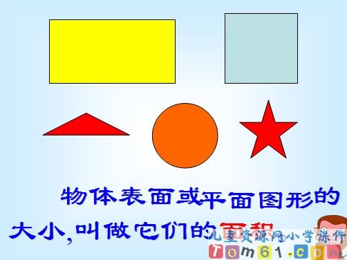 面积和面积单位