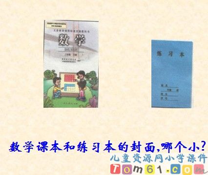 面积和面积单位