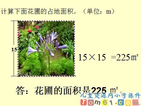 长方形与正方形的面积