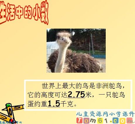 认识小数精品