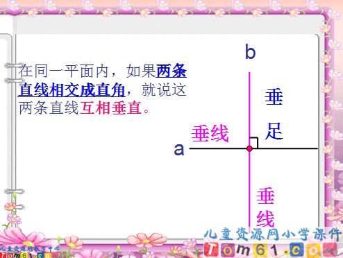 垂直与平等课件