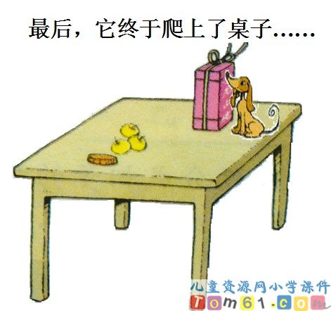 观察物体课件29