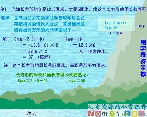 用字母表示数课件19