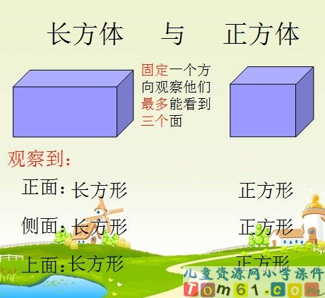 观察物体课件17