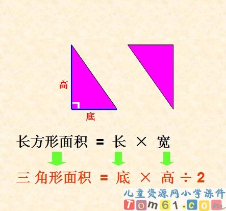 三角形的面积课件13