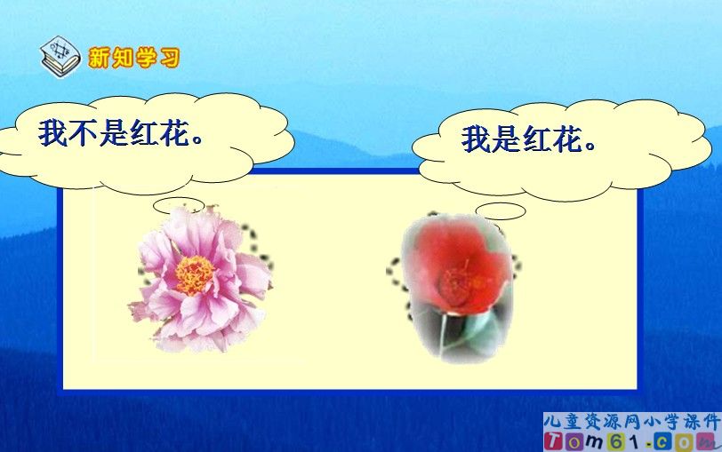 数学广角