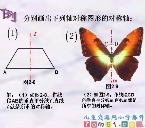 轴对称图形课件11