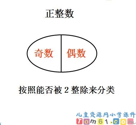 质数与合数课件49