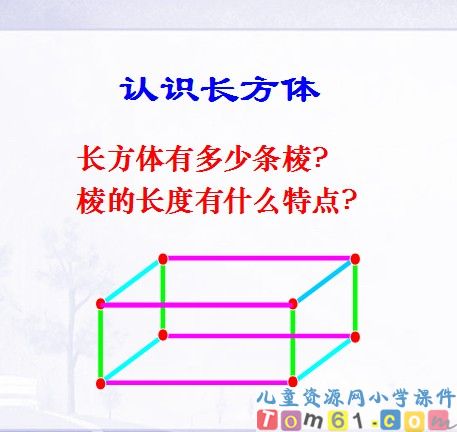 长方体和正方体的认识课件15