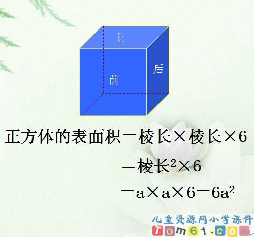 长方体和正方体的表面积课件12