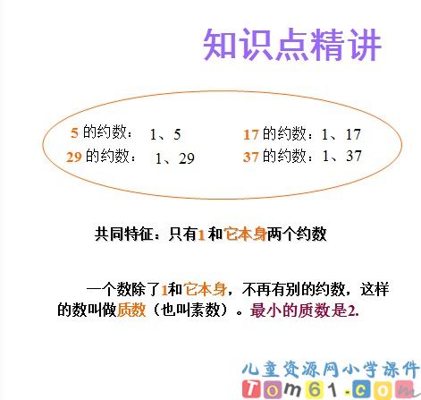 质数与合数