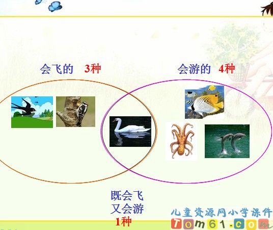 数学广角