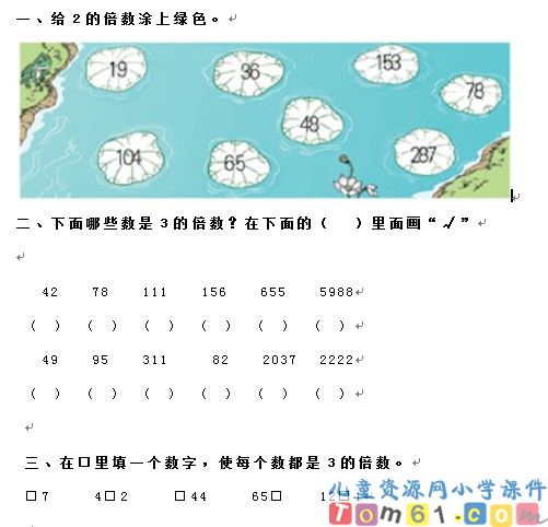 2-5-3的倍数的特征试卷2