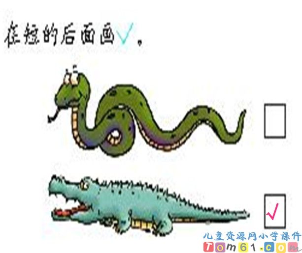 比一比
