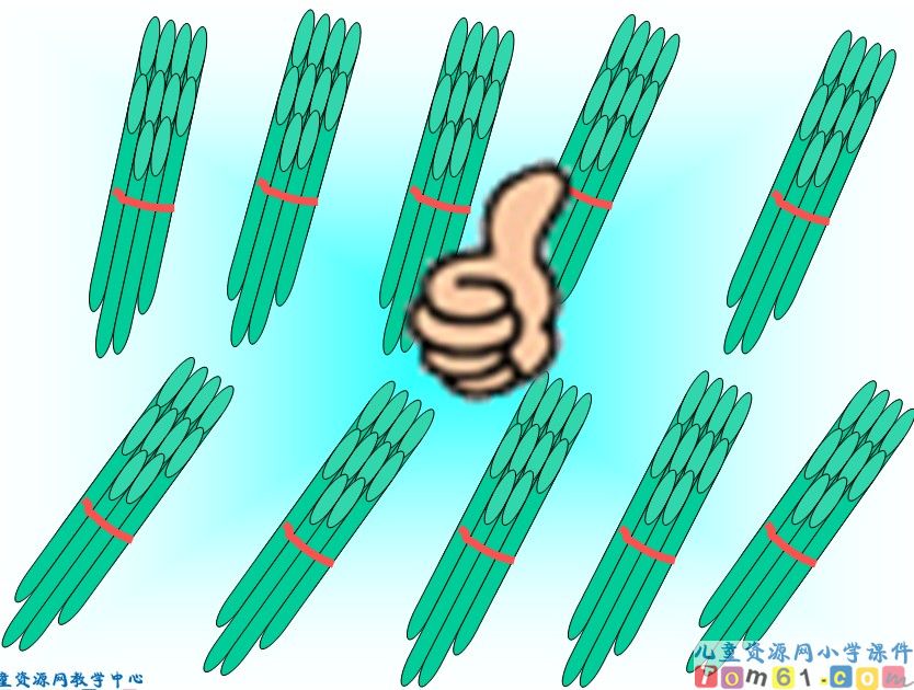 数数__数的组成