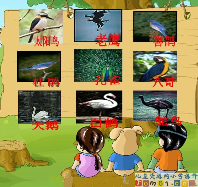 位置与方向