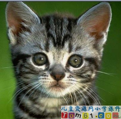 找规律