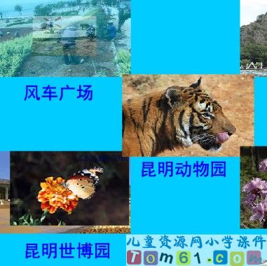 统计