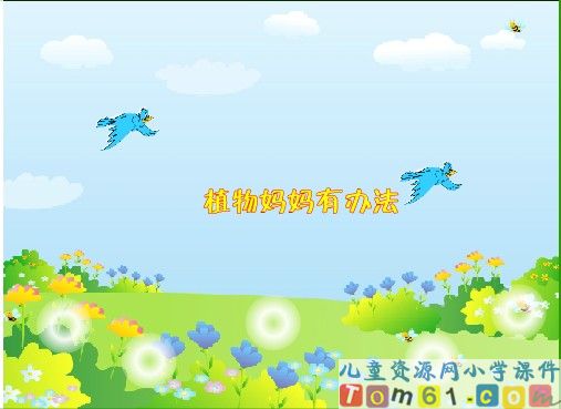 植物妈妈有办法课件5