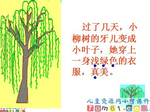 小柳树和小枣树课件1
