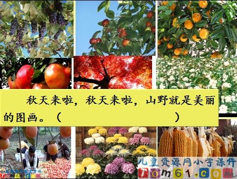 秋天的图画课件3
