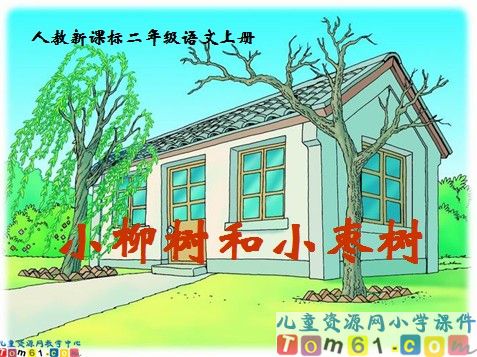 小柳树和小枣树课件4