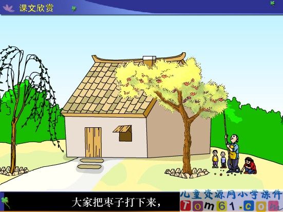 小柳树和小枣树课件3