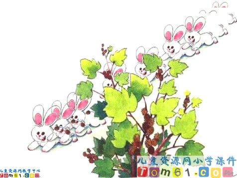 植物妈妈有办法课件1