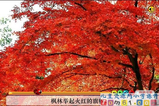 欢庆课件1