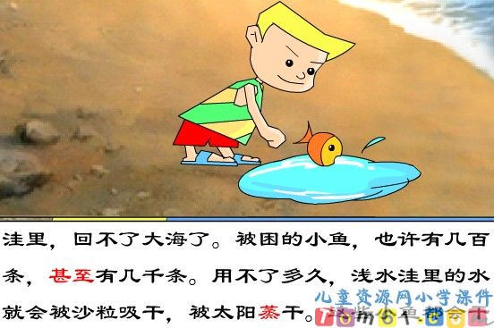 浅水洼里的小鱼课件6