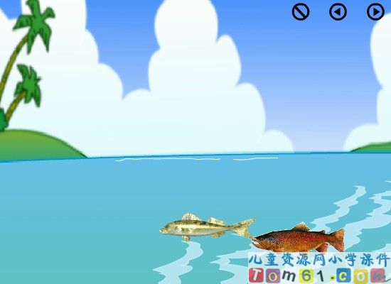 浅水洼里的小鱼课件5