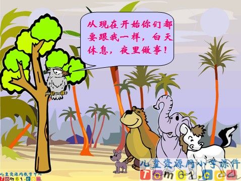 从现在开始课件2