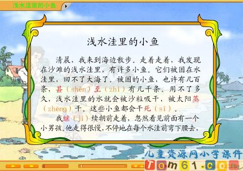 浅水洼里的小鱼课件3
