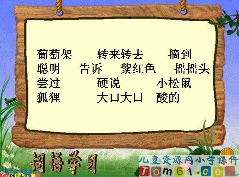 酸的和甜的课件9