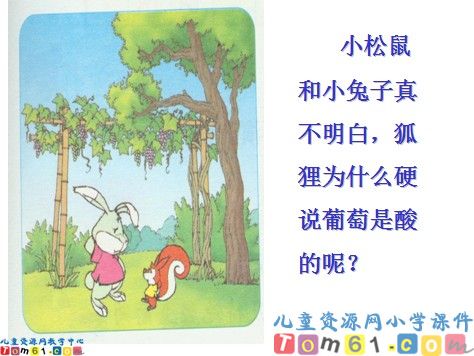 酸的和甜的课件1