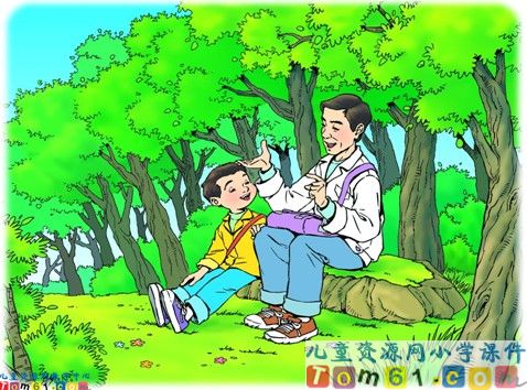 父亲和鸟课件1
