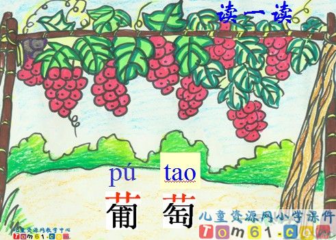 酸的和甜的课件2