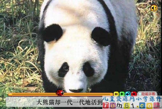 活化石课件1