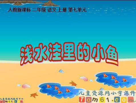 浅水洼里的小鱼课件4