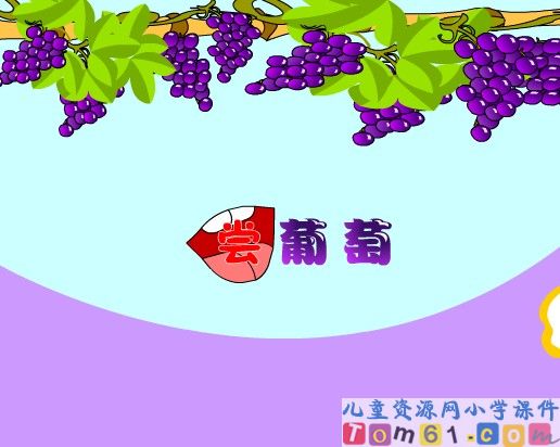 酸的和甜的课件10