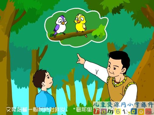 父亲和鸟课件3