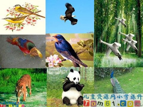 识字7课件