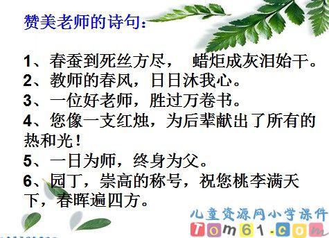 一株紫丁香课件14