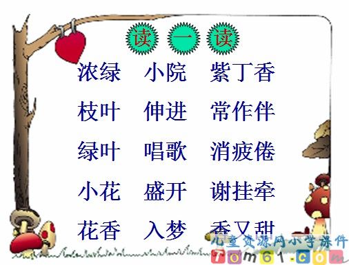 一株紫丁香课件20