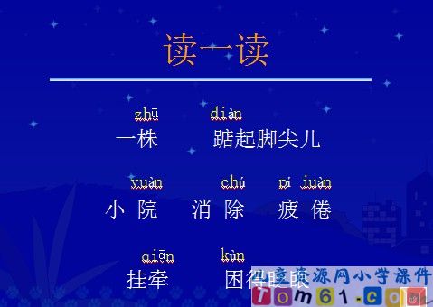 一株紫丁香课件30