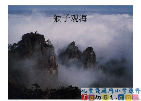 植物妈妈有办法课件11