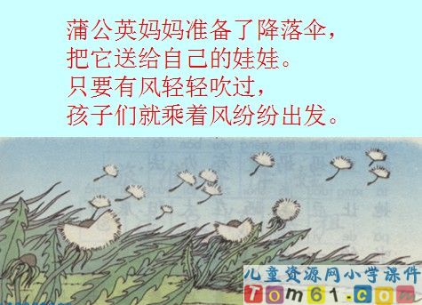 植物妈妈有办法课件19