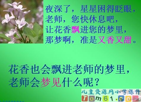 一株紫丁香课件12