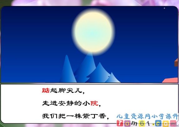 一株紫丁香课件24